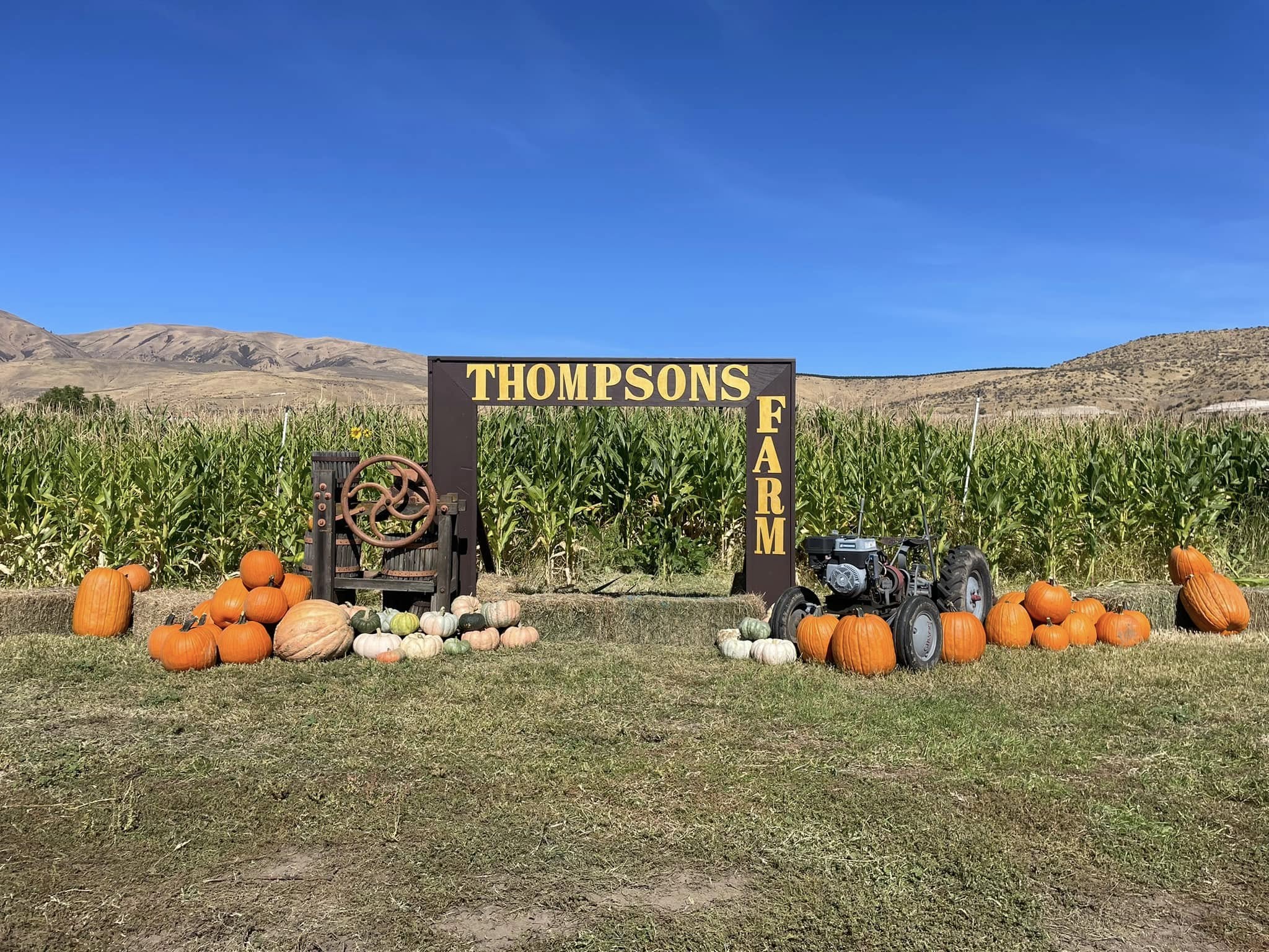 481706371_1073199907947272_3682466281240603875_n